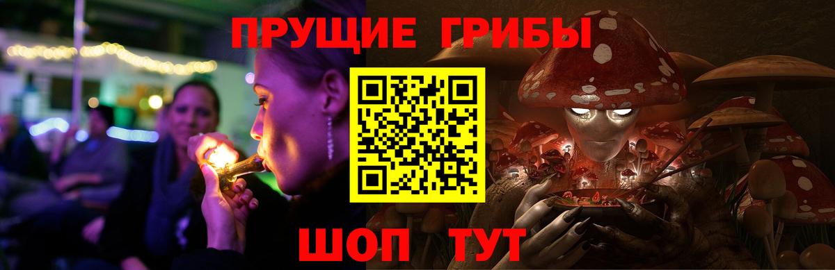 Астрахань  Псилоцибиновые грибы Psilocybe  Вход с VPN  наркотики  Псилоцибиновые грибы Magic Shrooms 
